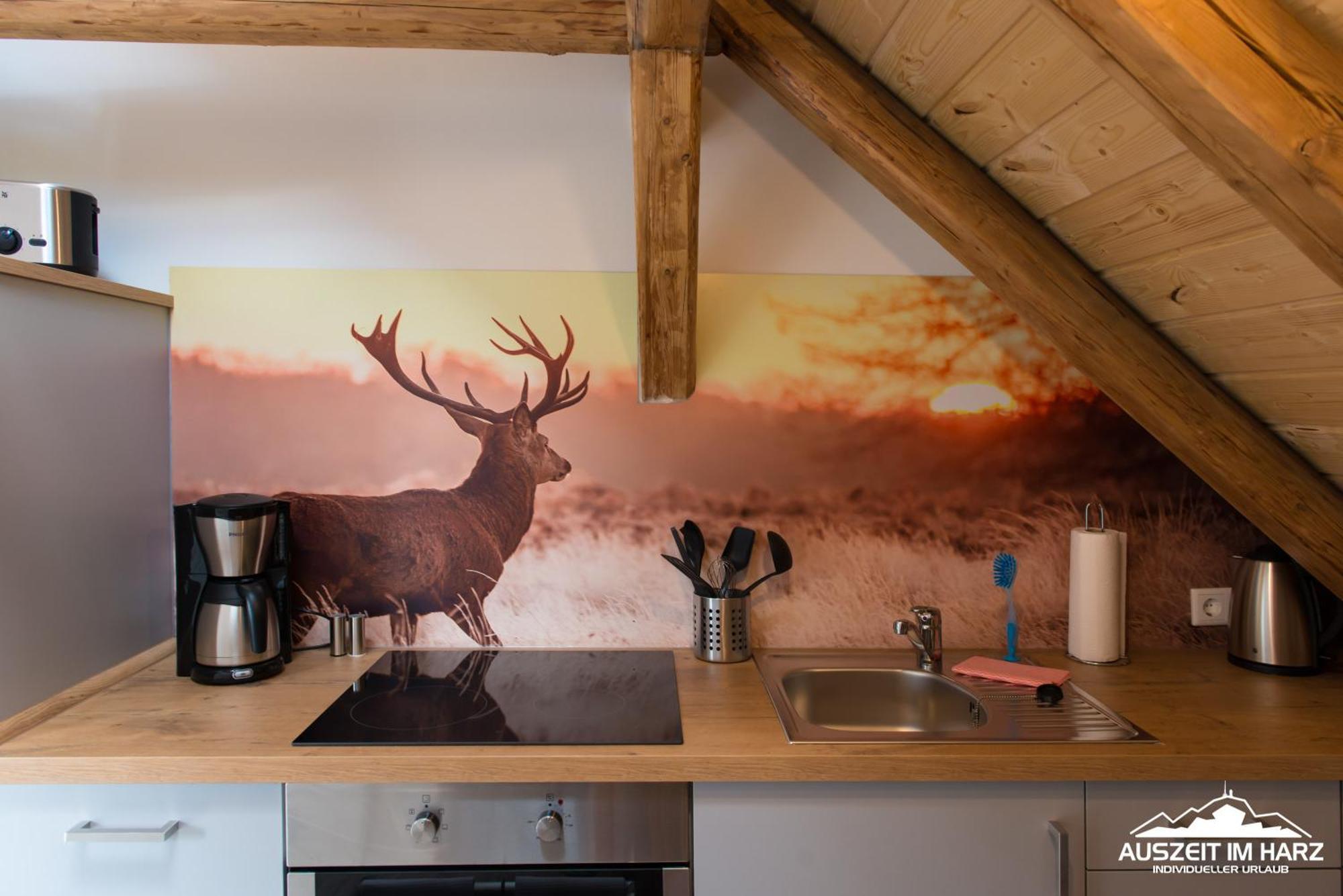 Auszeit Im Harz - Haus 2 Wohnung 5 Schierke Luaran gambar